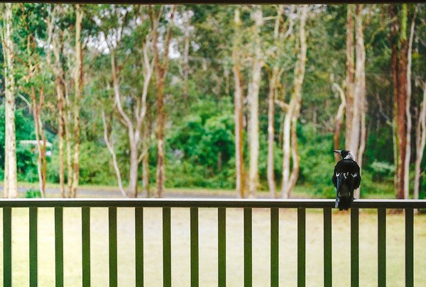 Faire appel à un professionnel pour l'installation d'une véranda sur-mesure