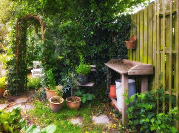 Ce qu'il faut considérer pour acheter une bonne arche de jardin