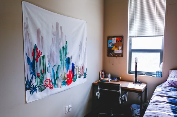 Transformez votre intérieur avec Hexoa tapisserie murale moderne